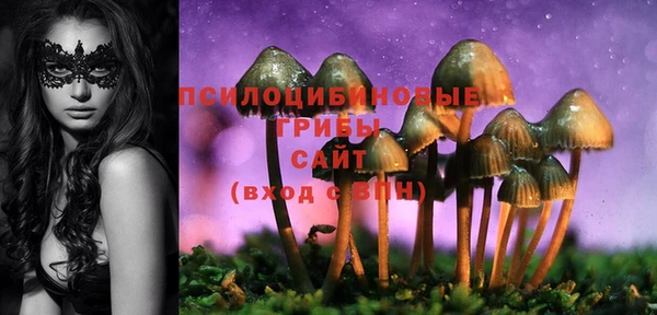 apvp Абинск