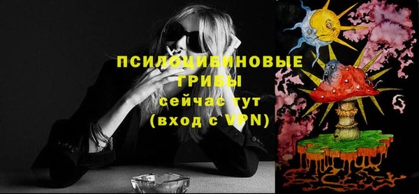 apvp Абинск